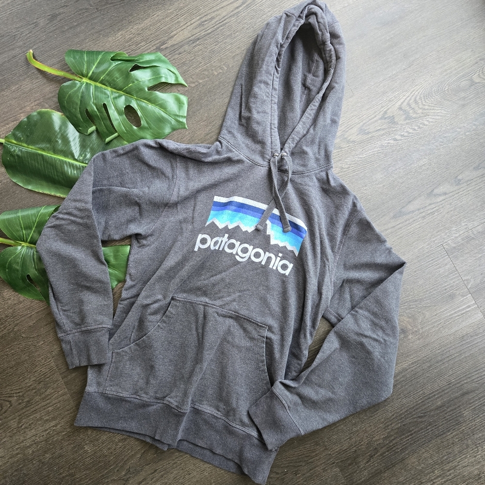 Patagonia Hoodie